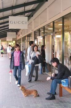 blogmedia-7610.jpg