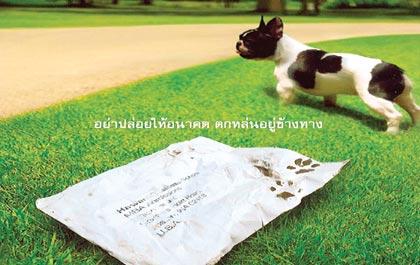 blogmedia-7698.jpg
