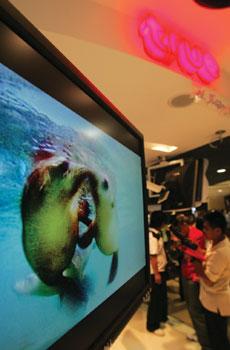 blogmedia-8249.jpg