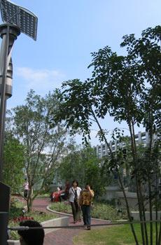 blogmedia-9153.jpg