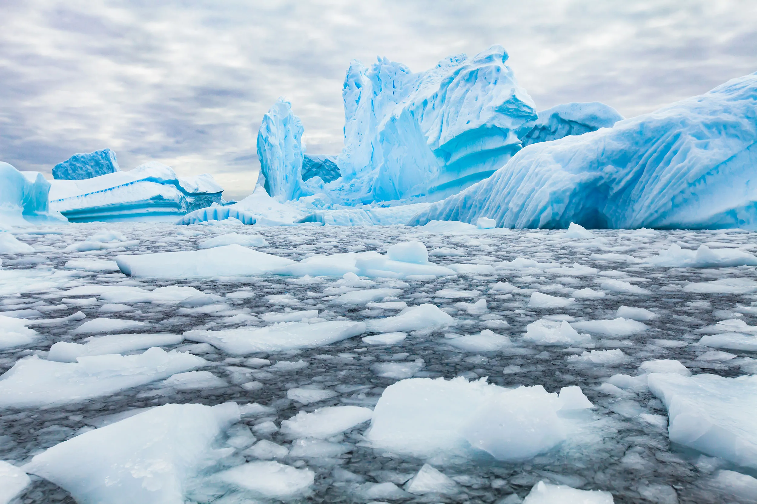 iStock-antarctica-anyaberkut.jpg.webp