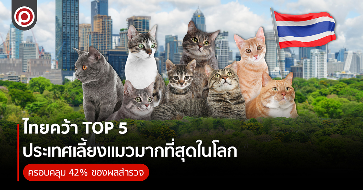 TOP5CAT-01.jpg