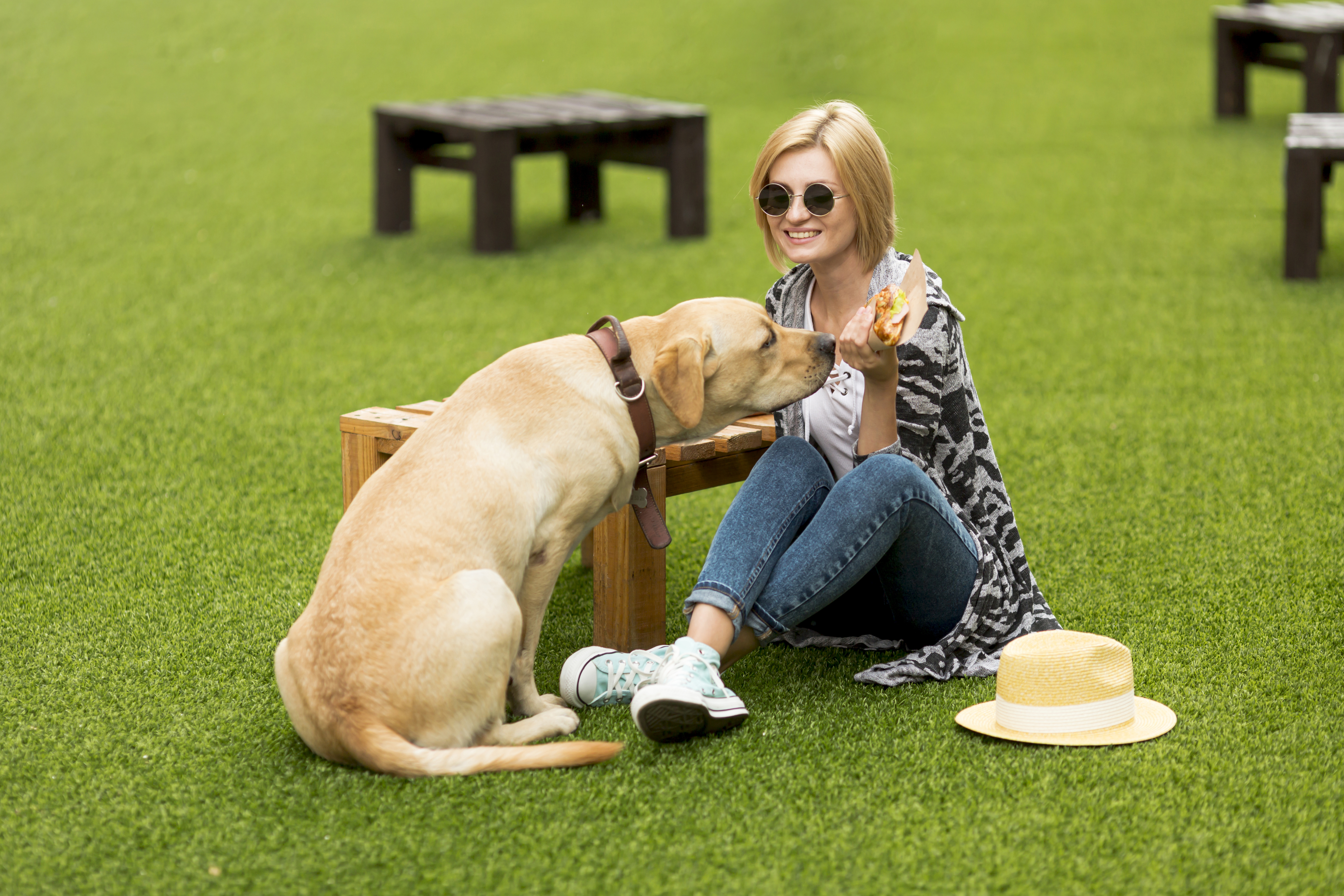 woman-dog-eating-food-park.jpg